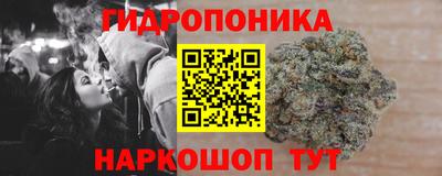 твердый Заводоуковск