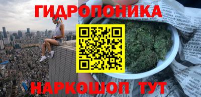 твердый Заводоуковск