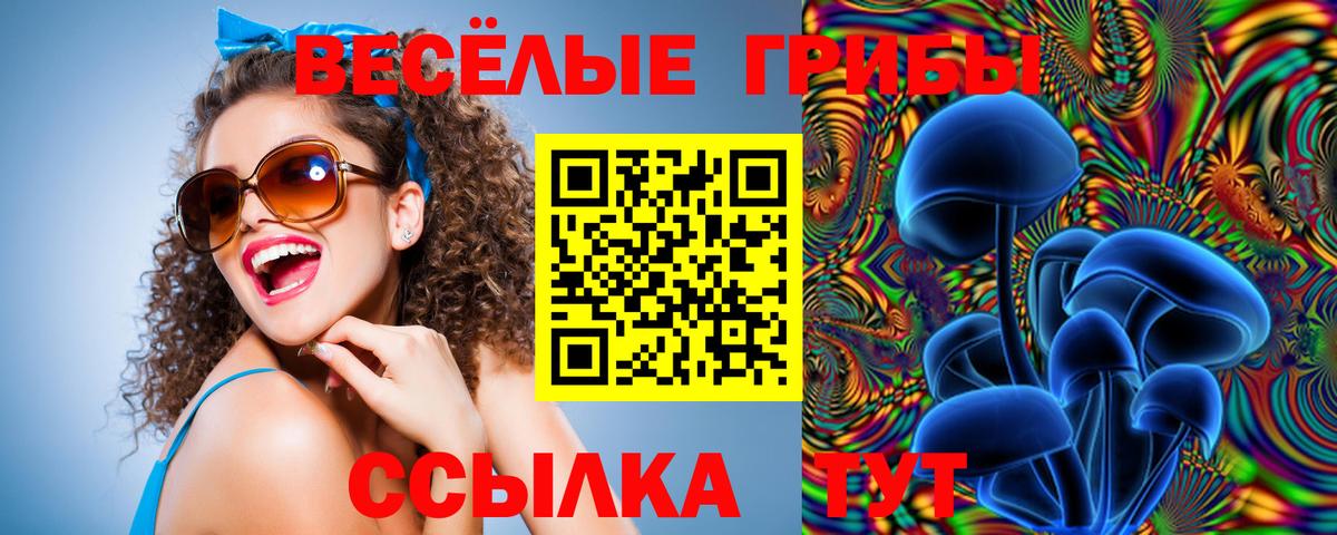 Галлюциногенные грибы Psilocybe  Псилоцибиновые грибы Magic Shrooms  Вход с VPN  Нарткала 
